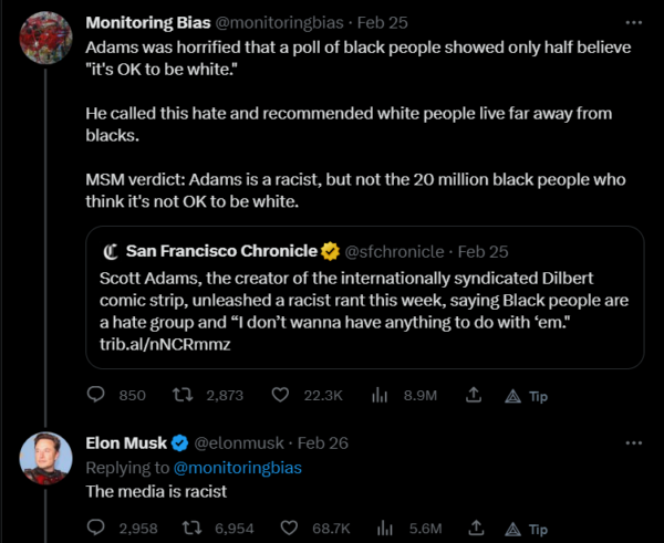Elon Musk Racist Media
