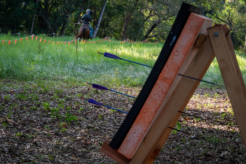 Horse archery_target_closeup