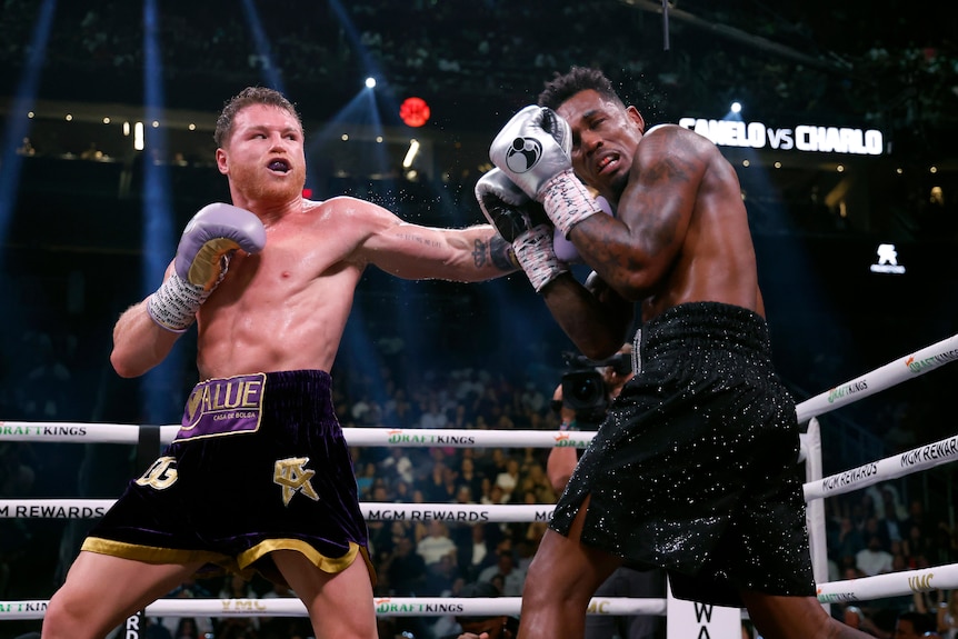 Canelo Alvarez punches Jermell Charlo