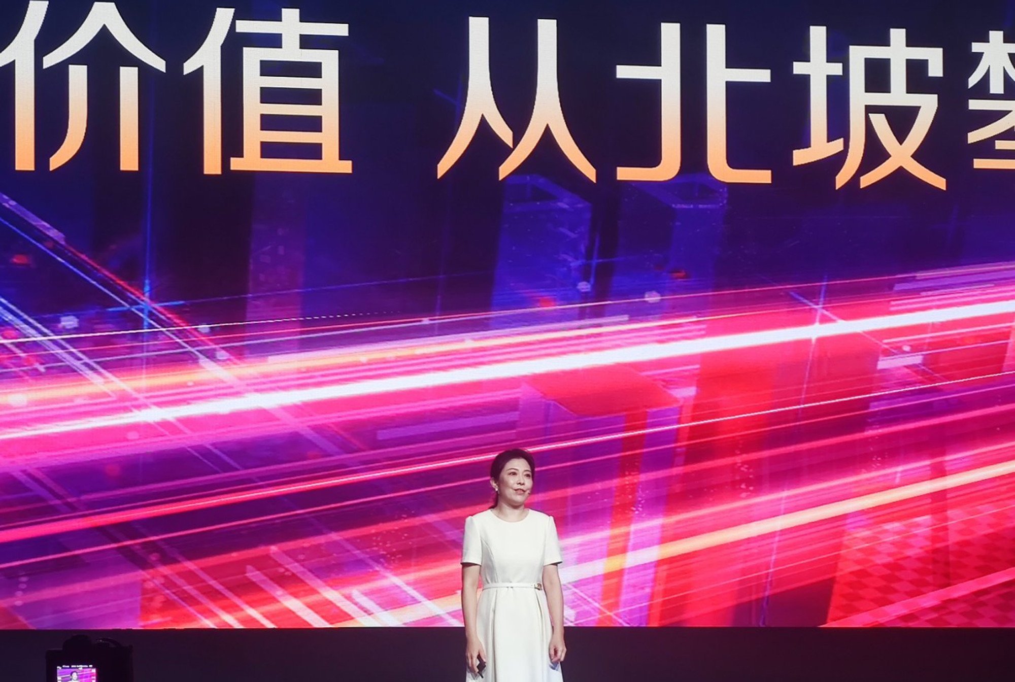 JD.com CEO Sandy Xu Ran. Photo: Handout