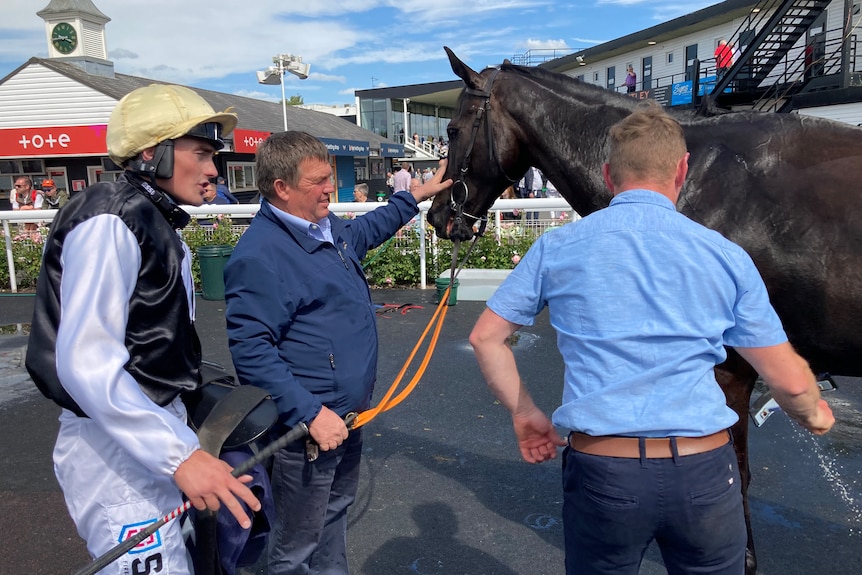Three people standing around horse, a larger version of Tony Williams included