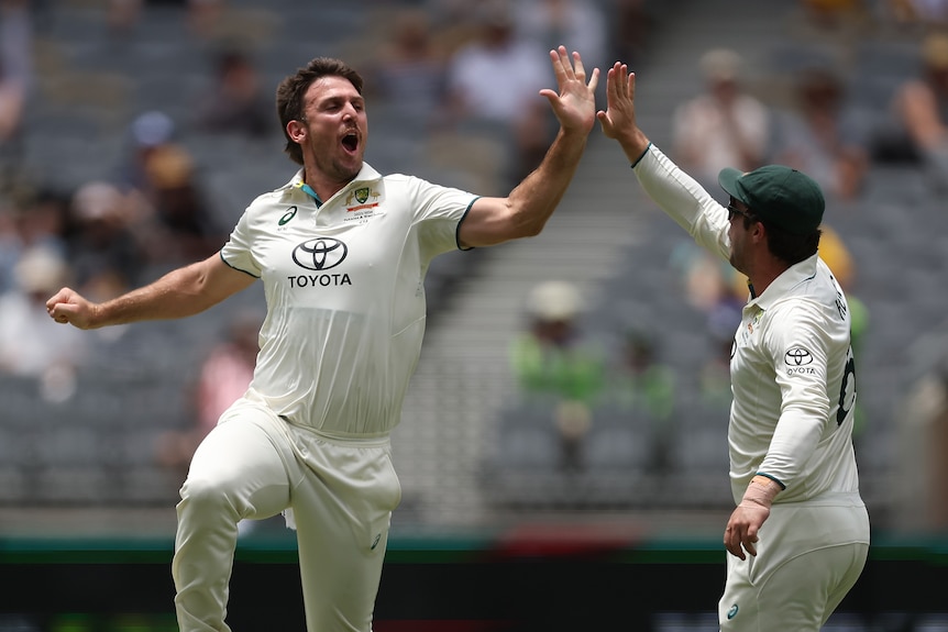 Mitch Marsh jumps and high-fives Travis Head