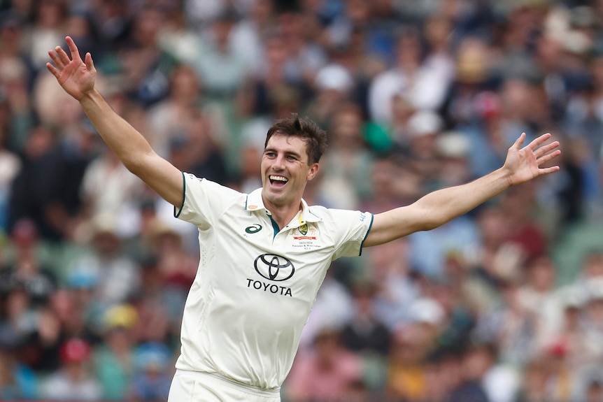 Pat Cummins celebrates with his arms stretched wide