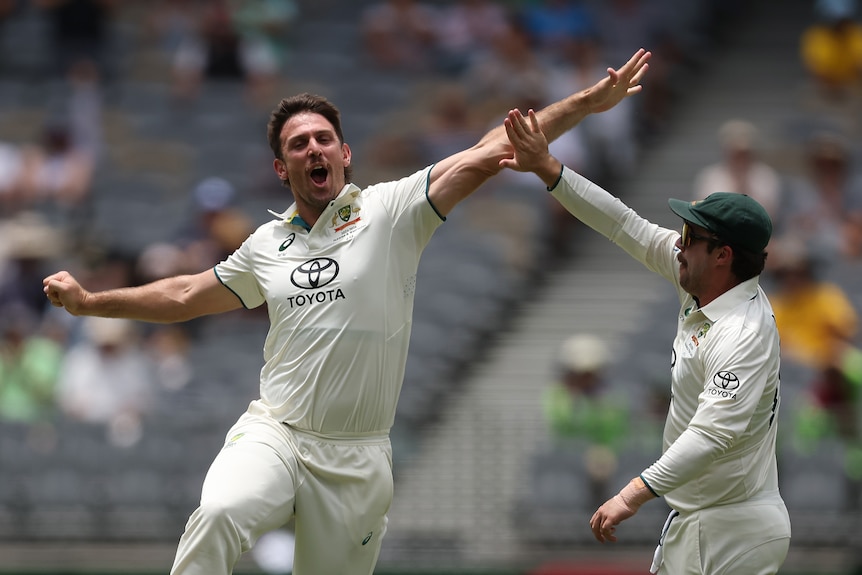 Mitch marsh misses a high five