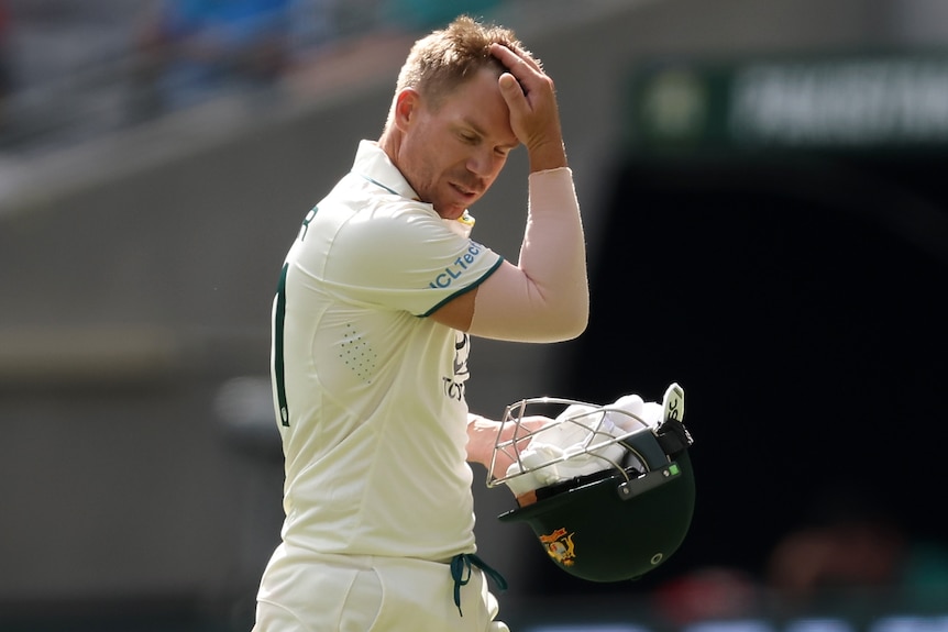 David Warner holds his head