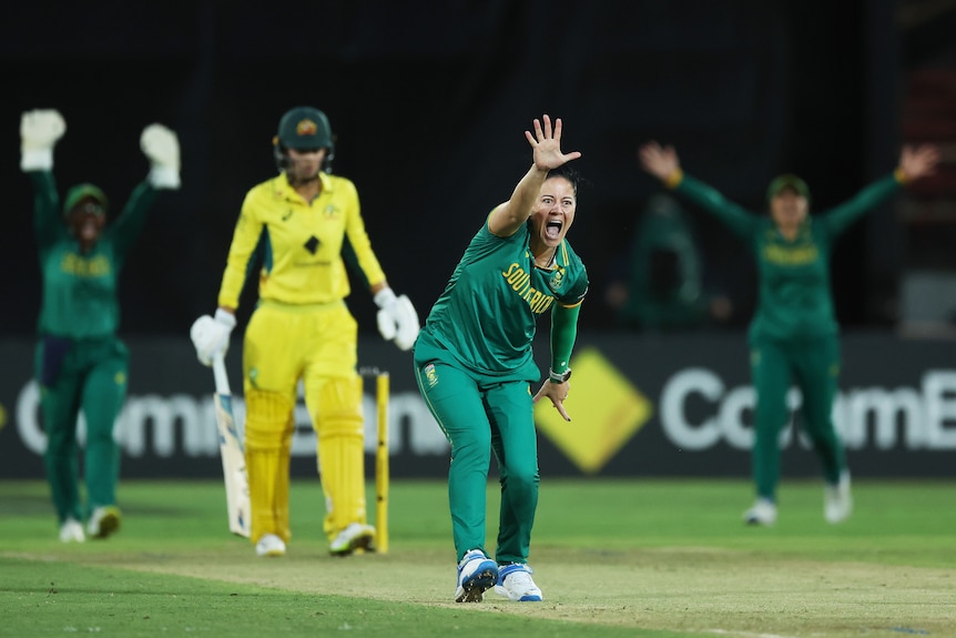 A South African cricketer appeals loudly with her hand raised with an Australian player at the striker's end in an ODI.