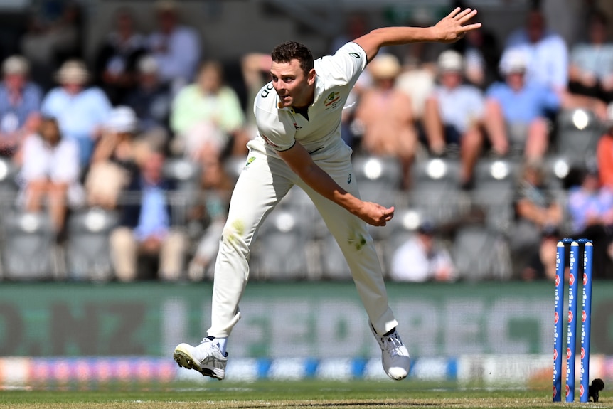 Josh Hazlewood bowls