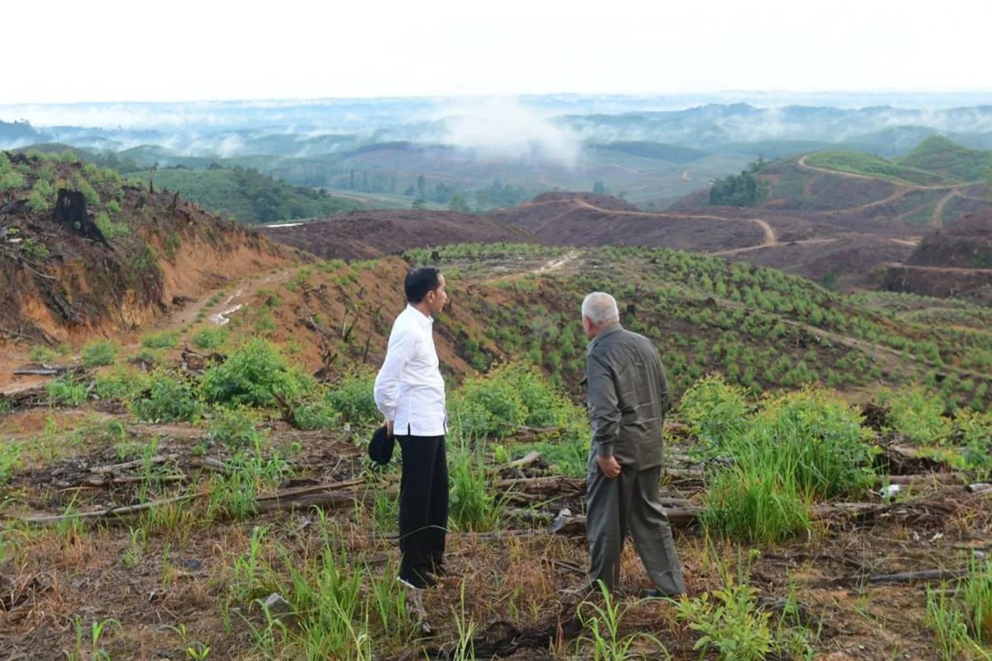 President Joko Widodo and Governor of East Kalimantan Isran Noor visit the location of Nusantara in August 2023. Photo: President of the Republic of Indonesia