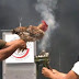 A Chicken Is Sacrificed In The Senate; Sanction Announced For Legislator Who Promoted Ritual