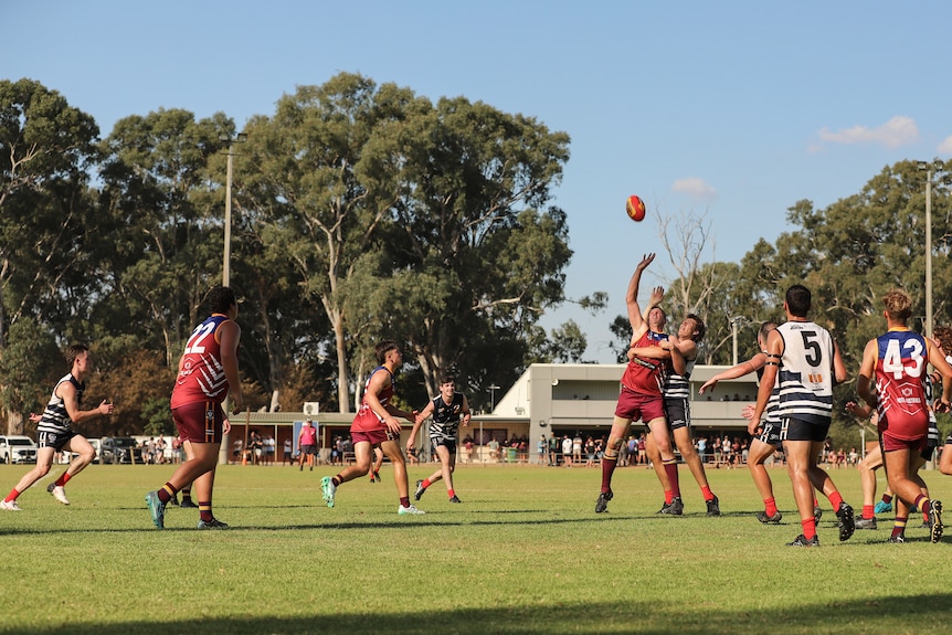 Men wearing different coloured uniforms compete in a country Australian rules football match, with gum trees in background
