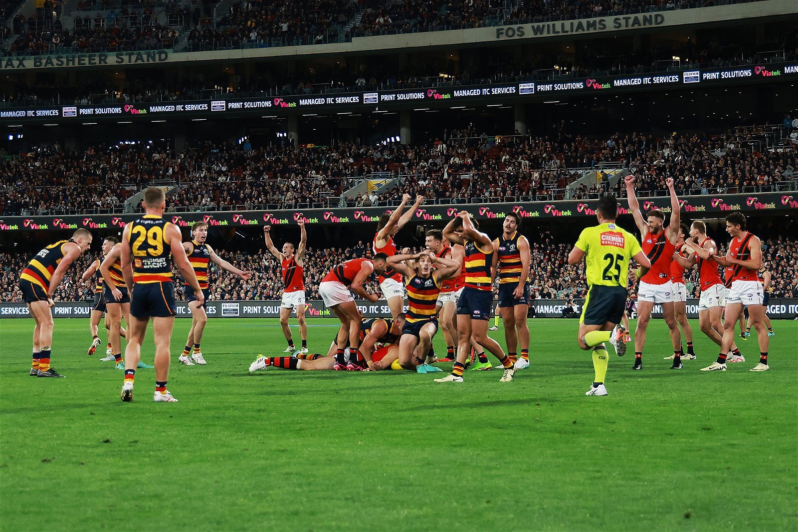 Players celebrate and appeal to umpires