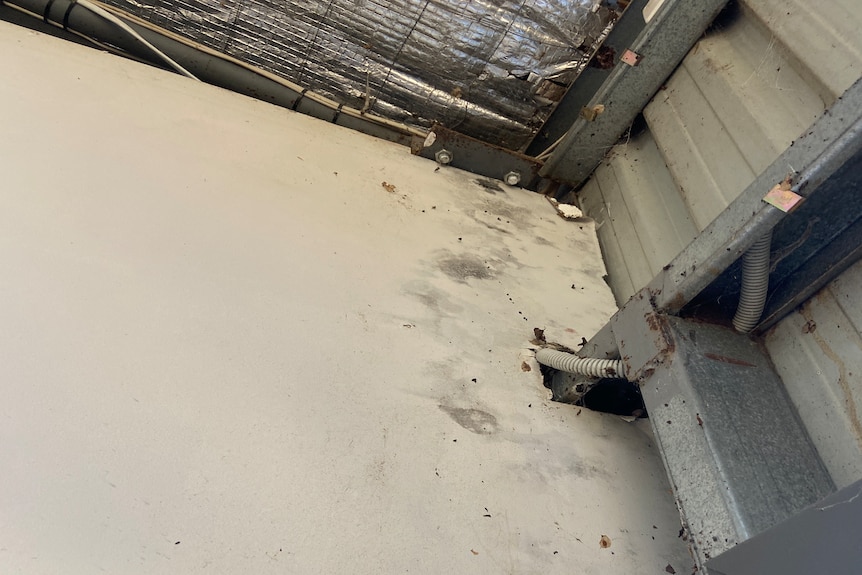 a photo showing black marks, mould on wall 