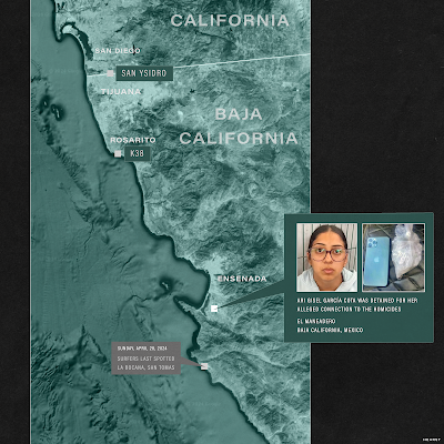 Ari Gisel Sinaloa Cartel’s La Rana Linked to Murder of the Surfers and Other New ...