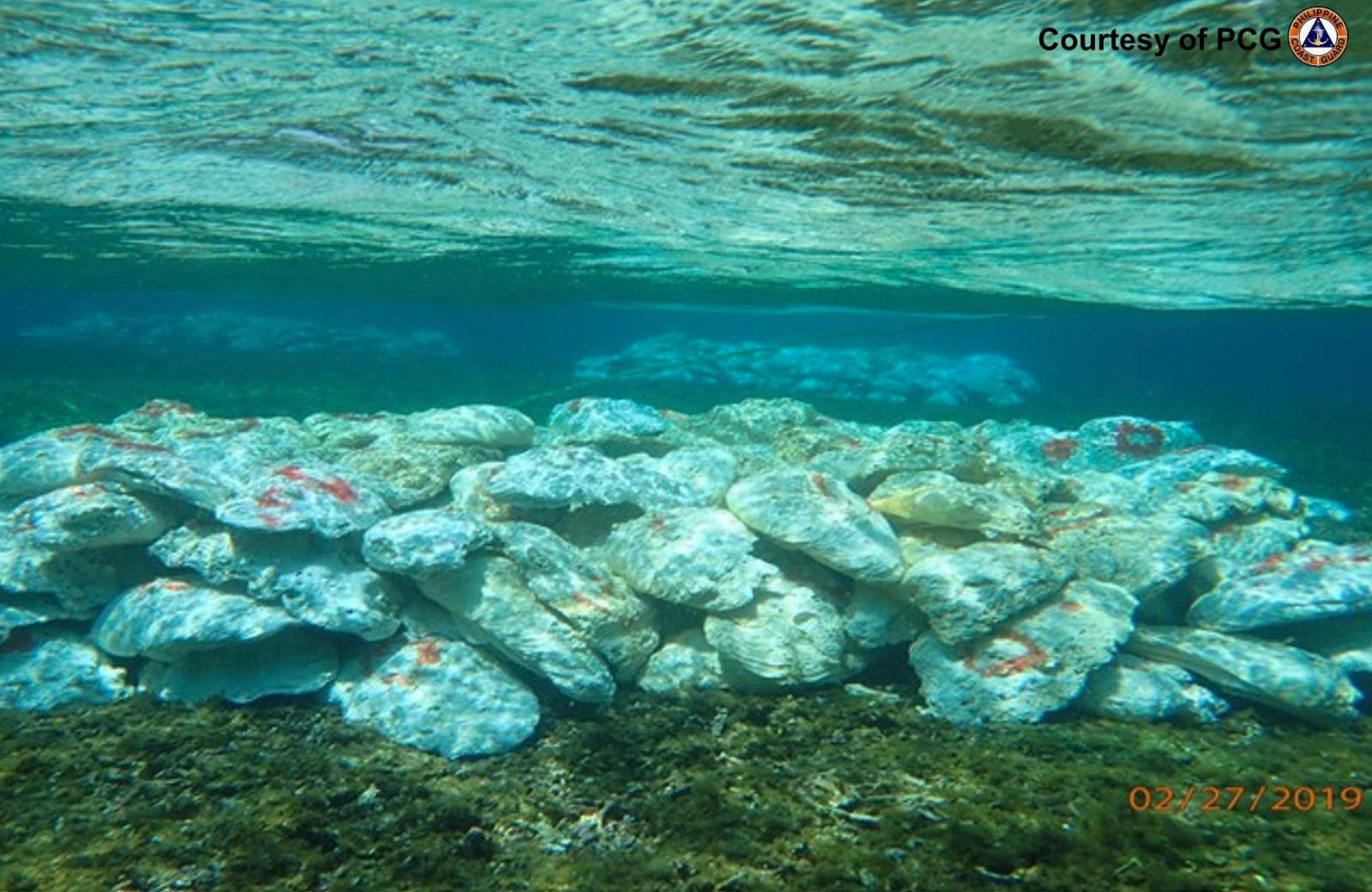 The Philippines has blamed Chinese fishermen for the massive loss of giant clams in the disputed Scarborough Shoal guarded by Beijing’s coastguard in the South China Sea. Photo: AP