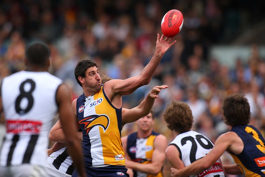 Dean Cox wins the hit-out against the Magpies