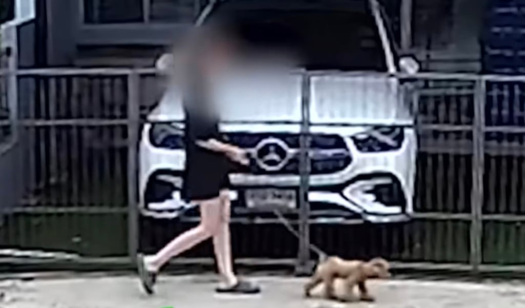 Gwendoline Cretton is seen in this CCTV screengrab shortly before she was killed. Photo: Handout