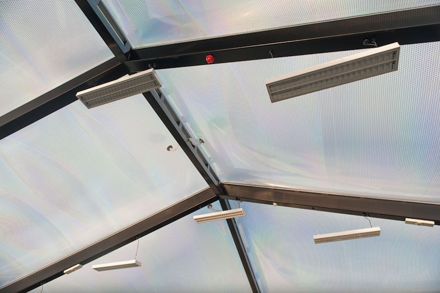 Inside view of skylight using ethylene tetrafluoroethylene (ETFE) technology.