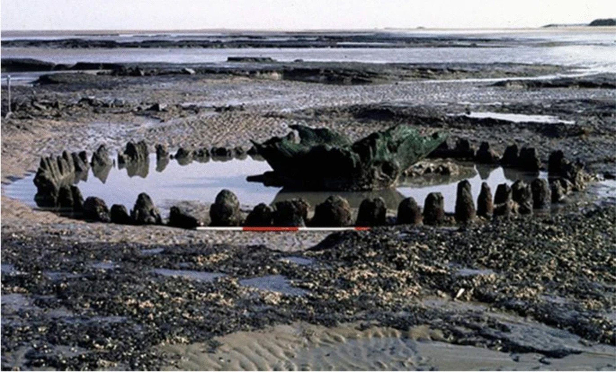 Seahenge contains two circular monuments believed to be used to persuade a goddess to stop cold weather and bring about warmer climate through rituals. Photo: Mark Brennand