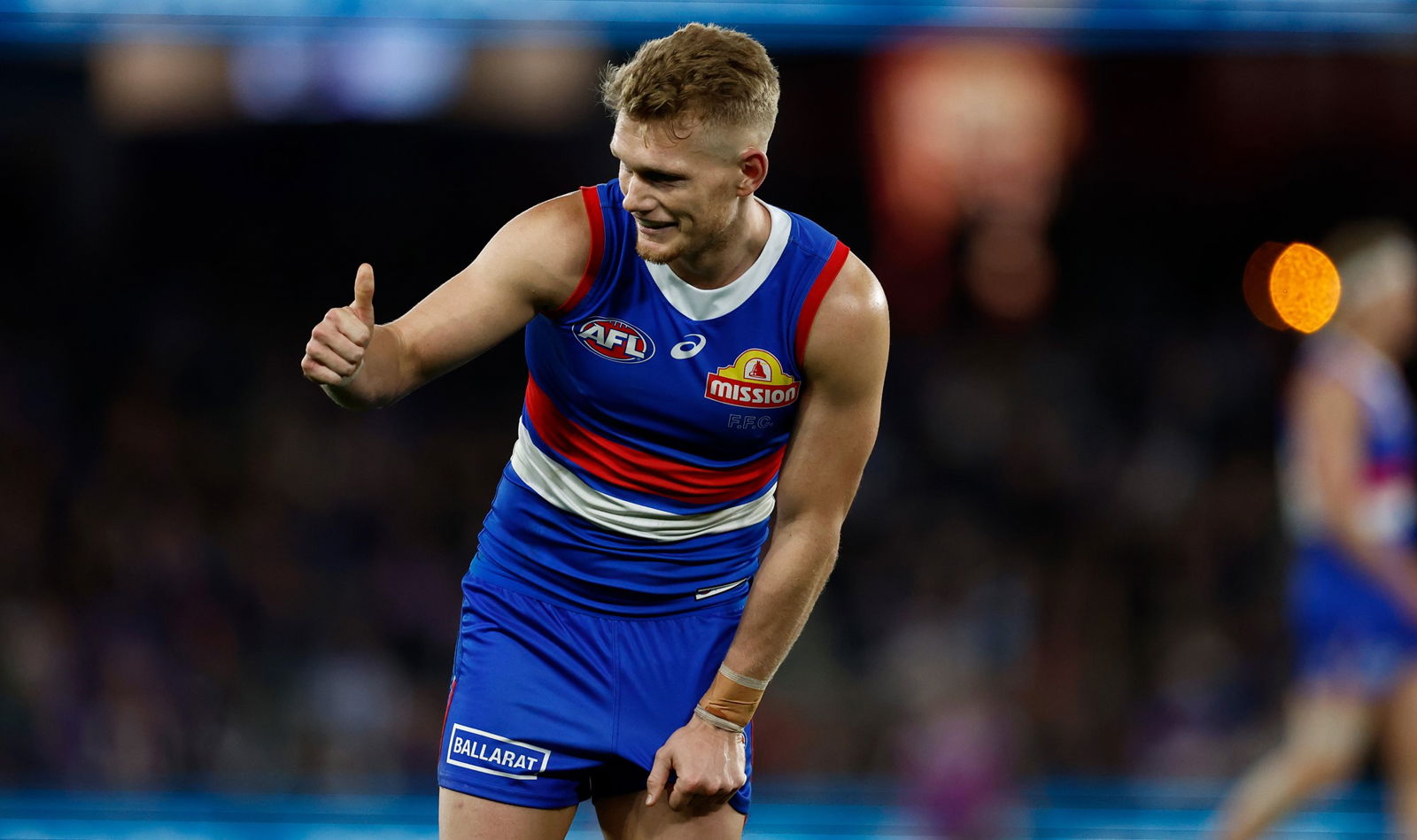 Adam Treloar has proved to be a shrewd recruit for the Western Bulldogs