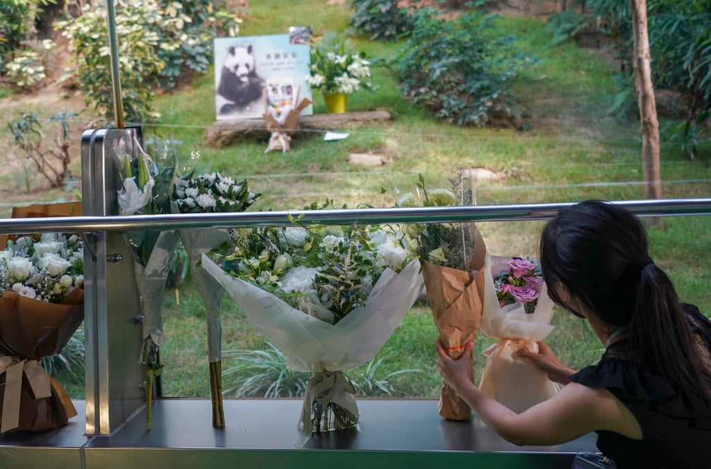 Wreaths are laid to remember An An after he died in 2022. Photo: Felix Wong