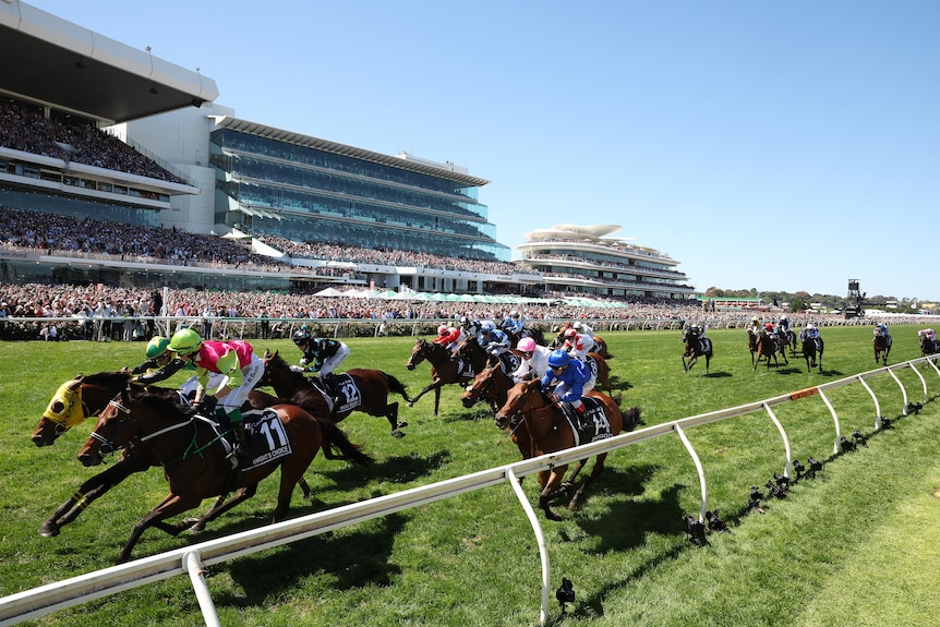 A close-up shot of the finish of the Melbourne Cup with the horse in pink and green winning ahead of a horse on the outside.