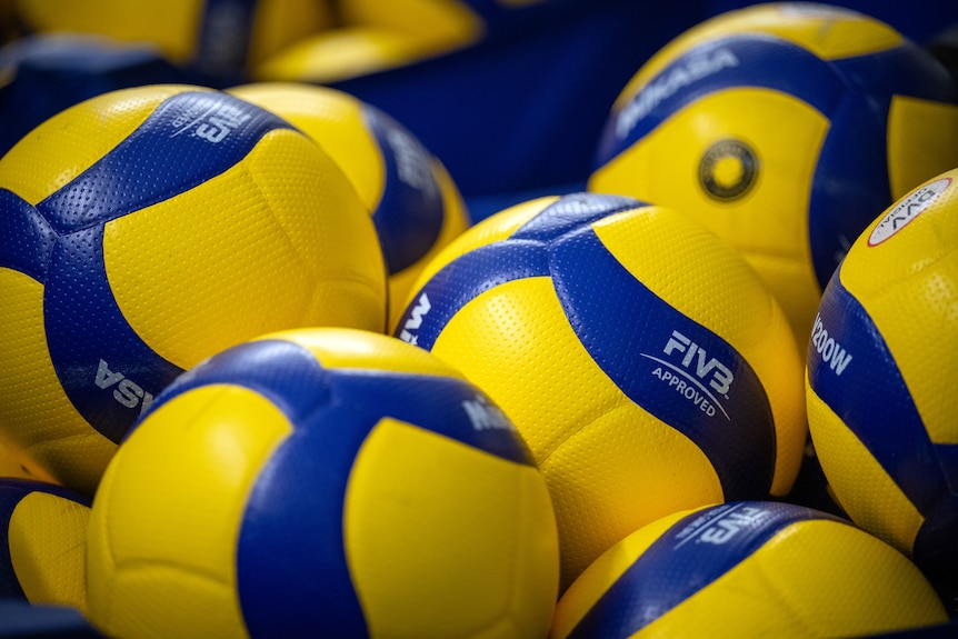 Volleyballs generic