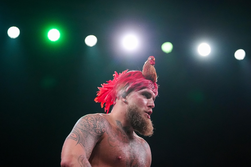Jake Paul wears a rooster on his head during a boxing warm-up.