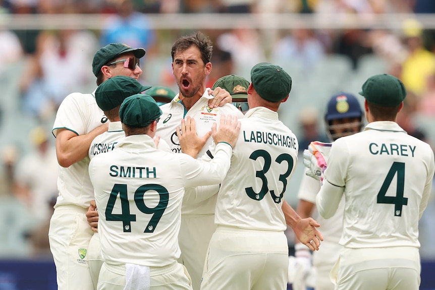 Mitch Starc celebrates with his mouth open