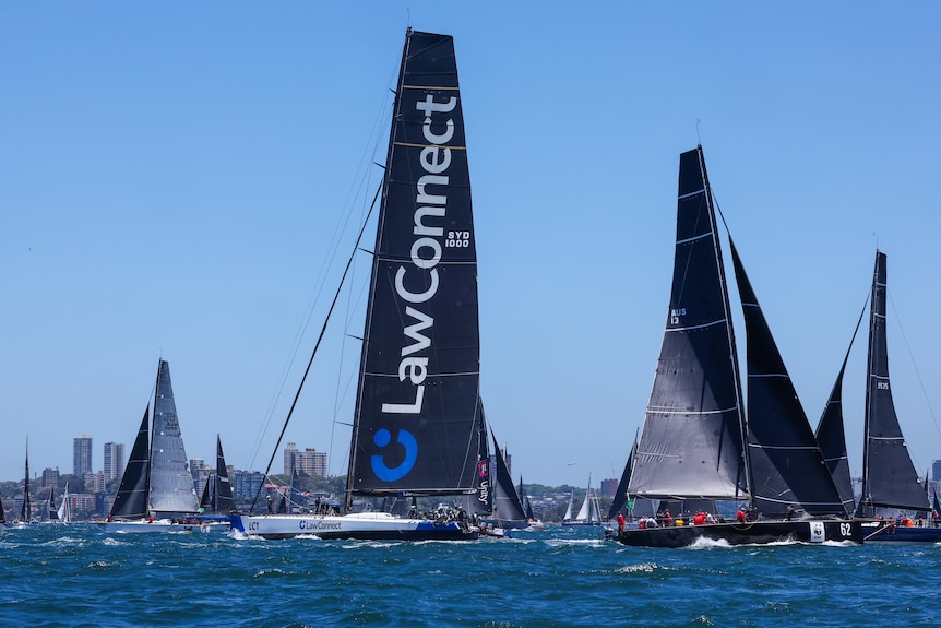 Yachts with black sails in the harbour.