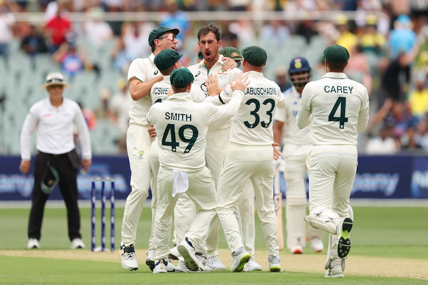 Mitchell Starc celebrates a wicket with his Australian teammates