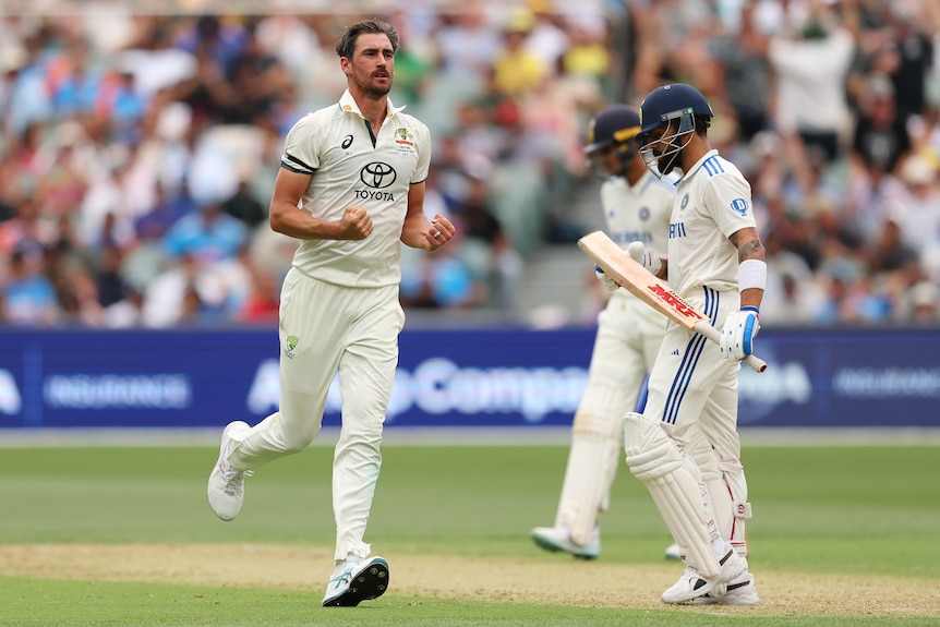 Mitchell Starc celebrates Virat Kohli's wicket