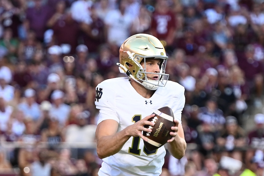 A man drops back to punt in an American football match