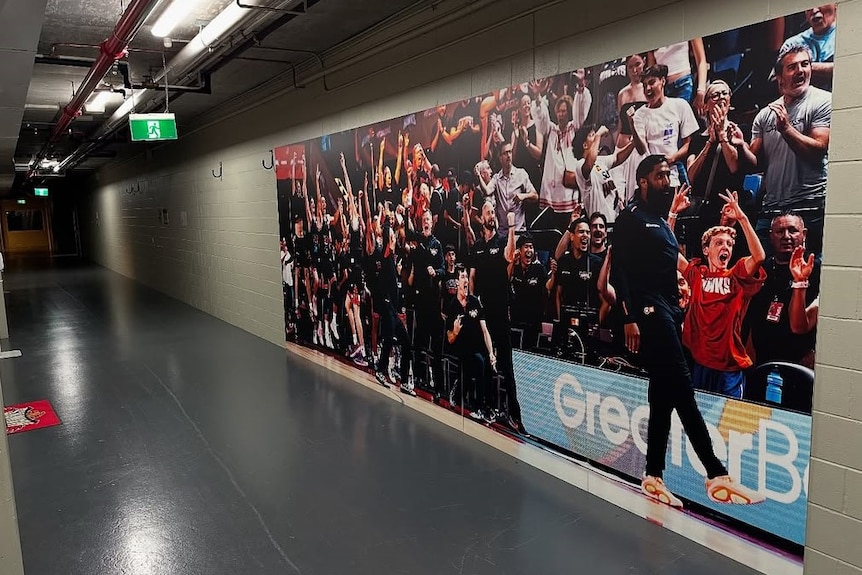 A large photo of the Hawks bench players celebrating inside a dark corridor.