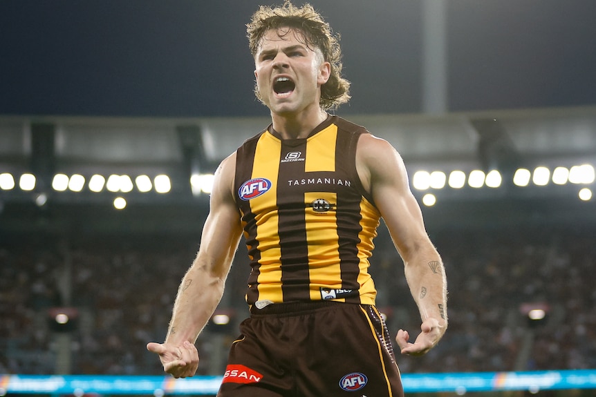 Nick Watson celebrates a Hawthorn goal.