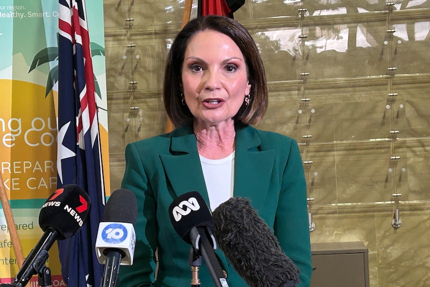 Sunshine Coast Mayor Rosanna Natoli stands in a green suit at a press conference held in Nambour.