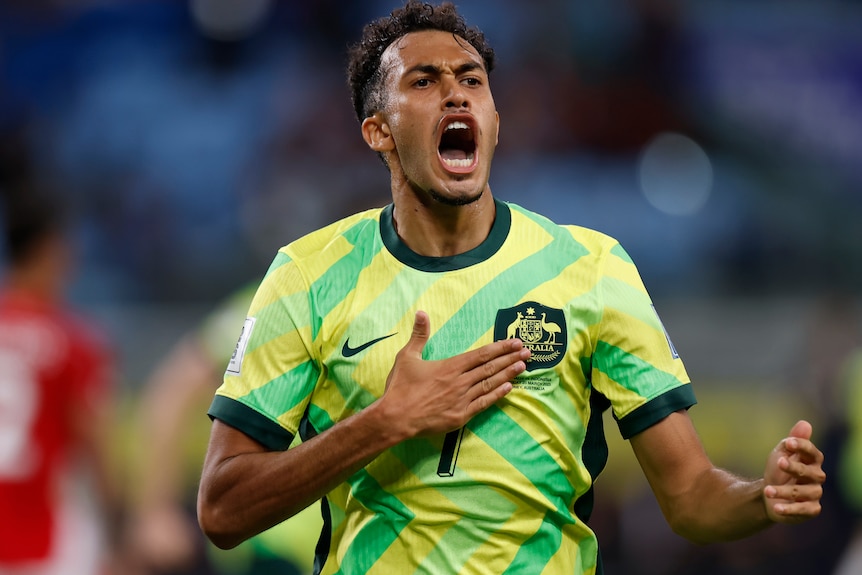 Nishan Velupillay celebrates a Socceroos goal against Indonesia.