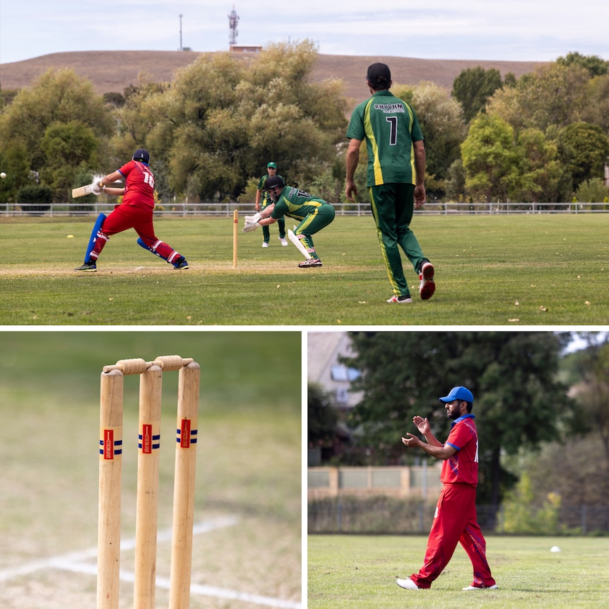 Cricket being played. 