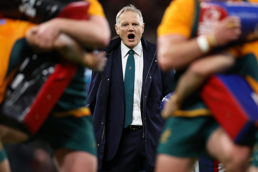 Joe Schmidt, head coach of Australia shouts instructions has players tackle pads