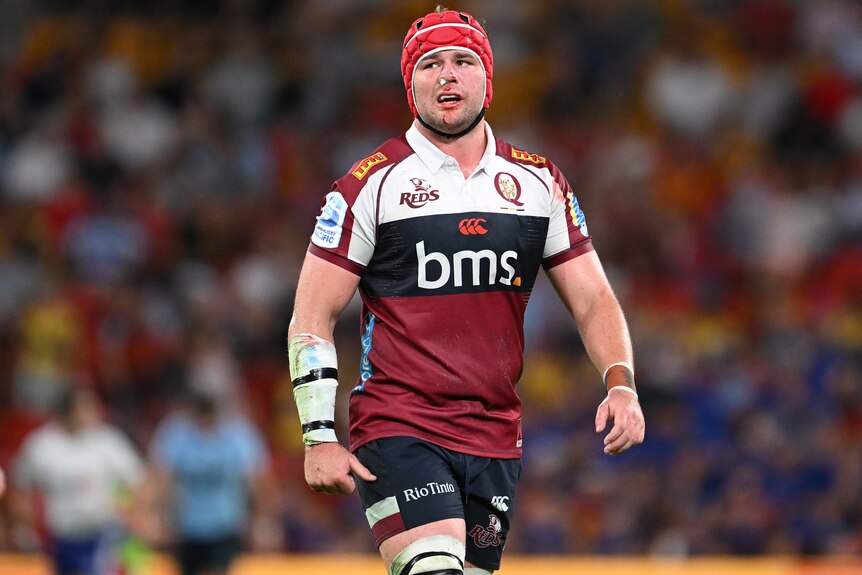 Harry Wilson playing for the Queensland Reds in 2025.