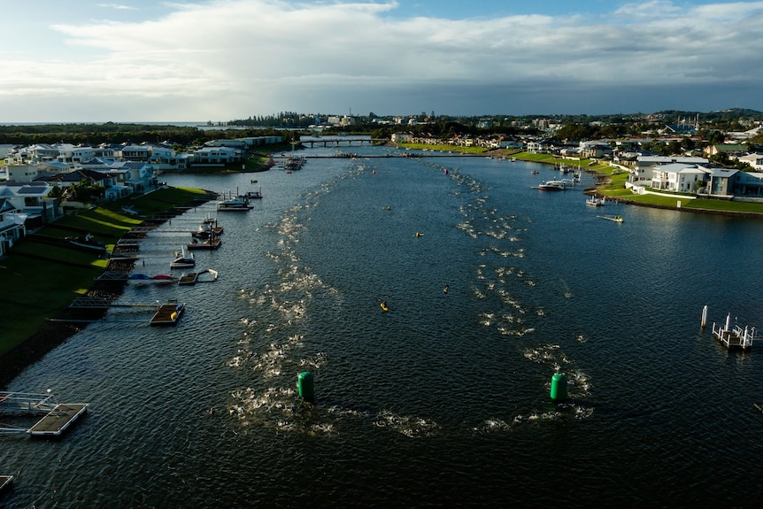 Aerial shot of a group of athletes swimming competitively in a river in Port Macquarie.&nbsp;