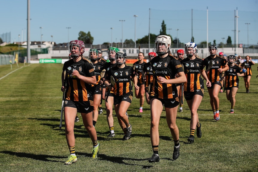 Kilkenny players run off