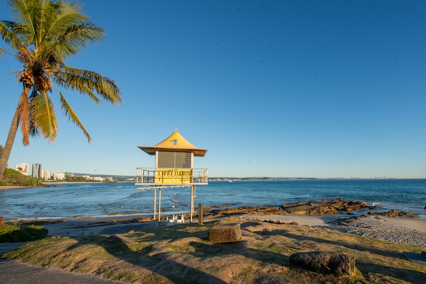 A yellow lifeguard tower next to a palm tree at a north-facing beach.