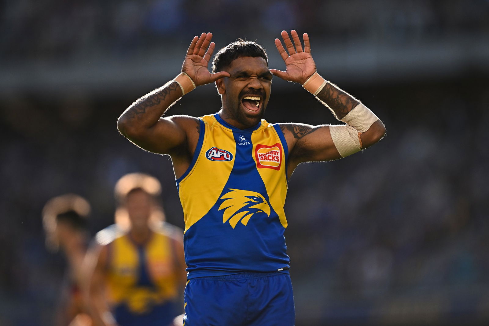 West Coast forward Liam Ryan celebrates a goal in the second quarter against Adelaide.