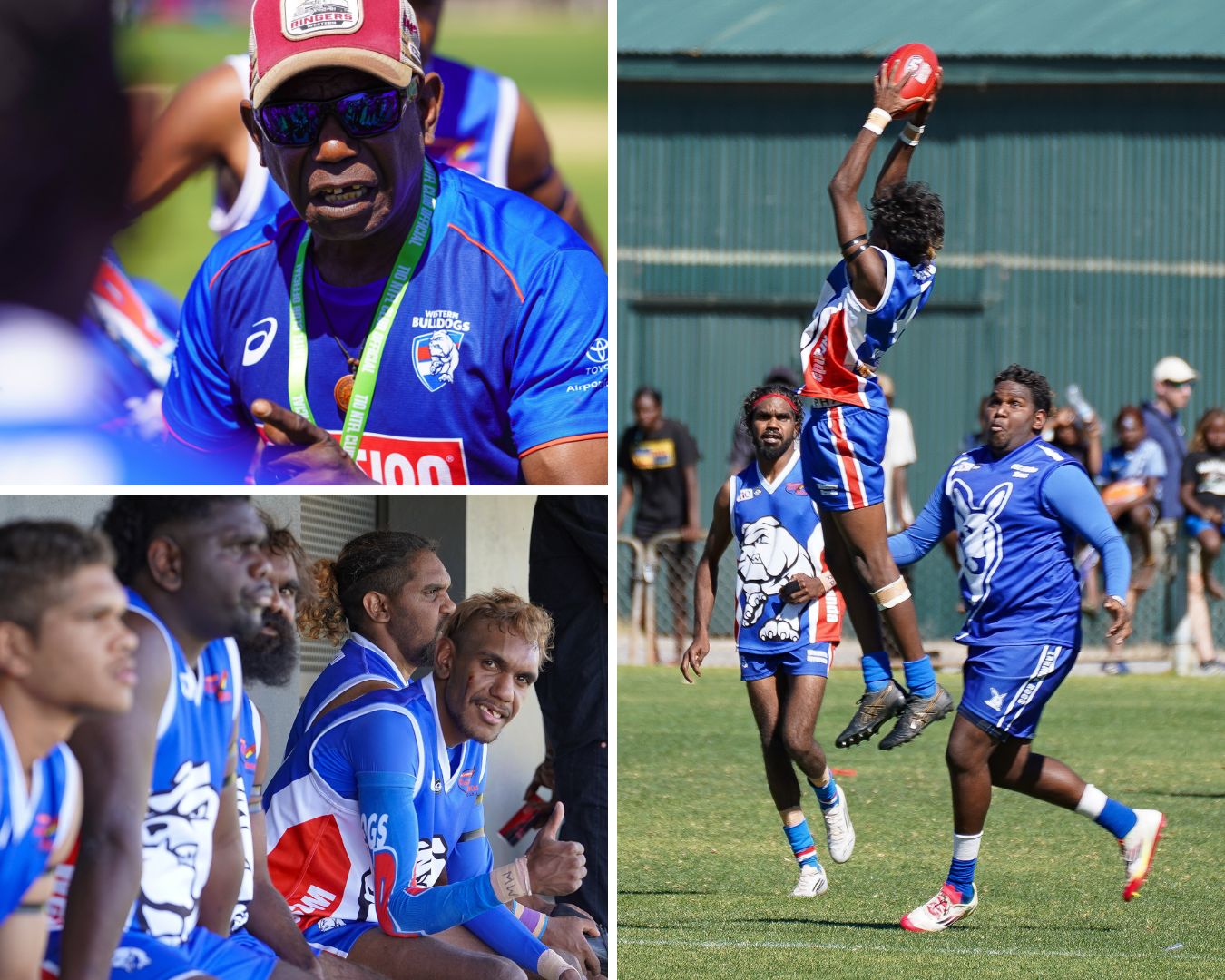 A collage shows Bulldogs players at the final, including a player jumping to catch the ball and a coach talking to the team.