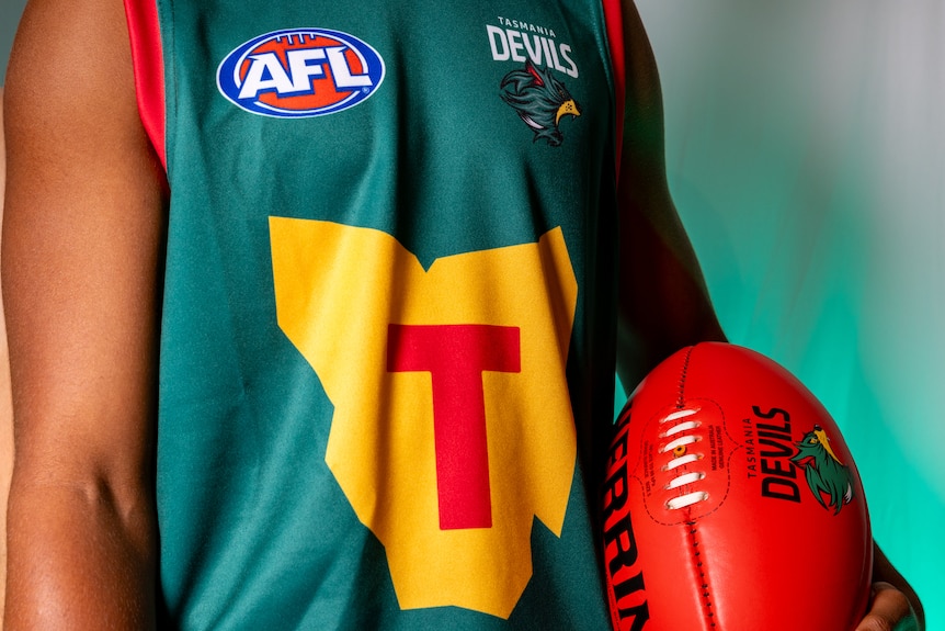 Close-up of&nbsp;Tasmania Devils AFL team foundation jumper design.
