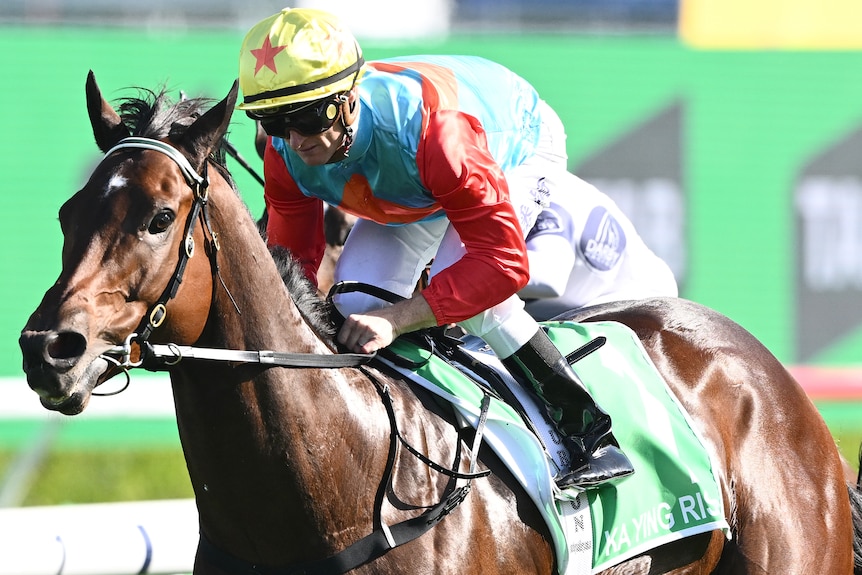 Jockey Zac Purton rides Ka Ying Rising to victory in The Everest.