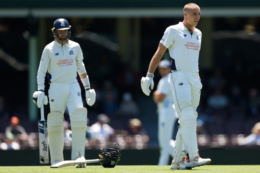 Victoria batter Campbell Kellaway winces in pain during a Sheffield Shield match.