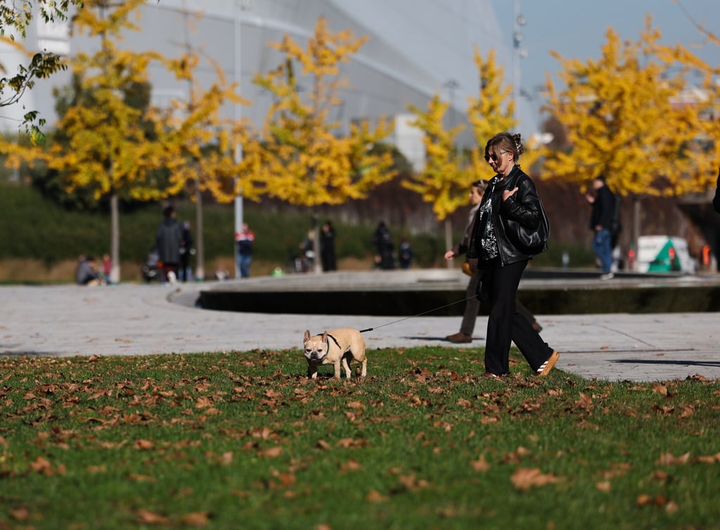 A woman walks her dog at a park in Milan. Visitors to Italy’s South Tyrol region would have had to pay a daily fee to bring their dogs to the province. Photo: Xinhua