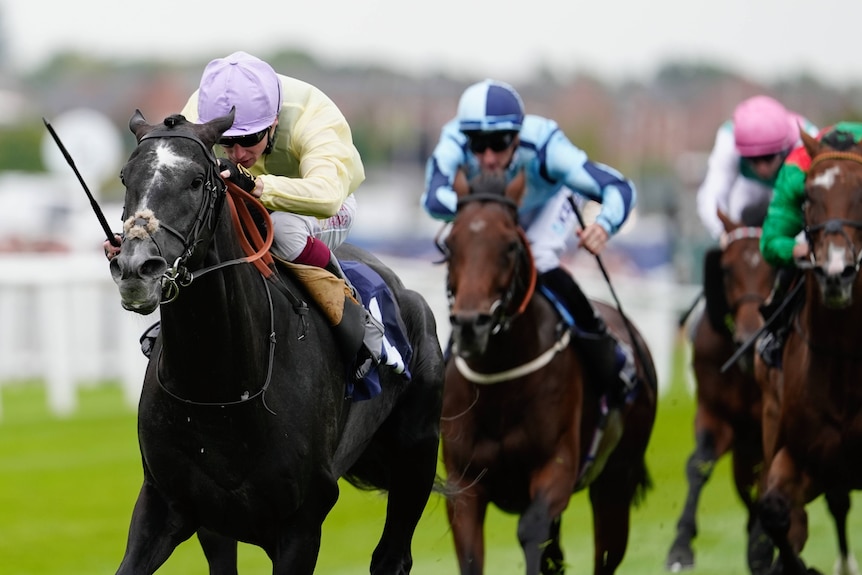 Horses race to the finish line.