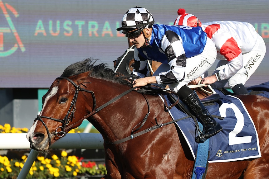 A horse runs past the winning post.